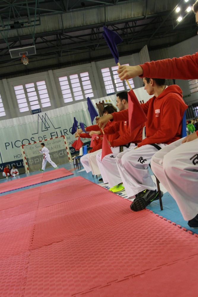 Taekwondo Dic 2016 (207).jpg